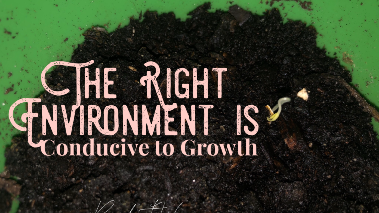 The Right Environment is Conducive to Growth