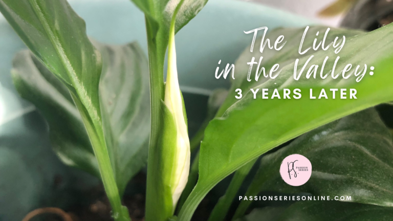 The Lily in the Valley: 3 Years Later